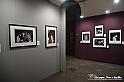 VBS_1679 - Mostra Peter Hince - Queen Experience